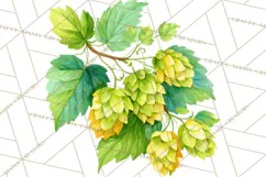 Beer Watercolor Clipart, Beer PNG, Beer Mug, Beer Bottle Product Image 4