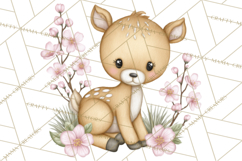 Spring Woodland Critter Clipart PNG, Spring Png Product Image 4