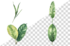Tropical Green Leaves | Watercolor Botanical Foliage Clipart Product Image 8
