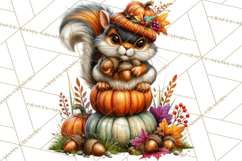 Feral Fall Friends Raccoon Opossum Squirrel Clipart Product Image 3