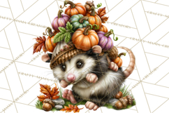 Feral Fall Friends Raccoon Opossum Squirrel Clipart Product Image 5