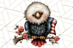 Americana Patriotic Summer Clipart Memorial Day July 4 Product Image 3