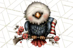 Americana Patriotic Summer Clipart Memorial Day July 4 Product Image 3