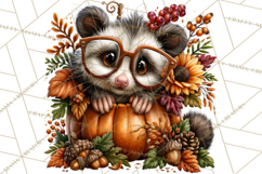 Feral Fall Friends Raccoon Opossum Squirrel Clipart Product Image 3
