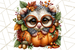 Feral Fall Friends Raccoon Opossum Squirrel Clipart Product Image 4