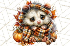 Feral Fall Friends Raccoon Opossum Squirrel Clipart Product Image 2
