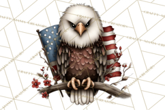 Americana Patriotic Summer Clipart Memorial Day July 4 Product Image 4