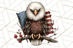 Americana Patriotic Summer Clipart Memorial Day July 4 Product Image 4