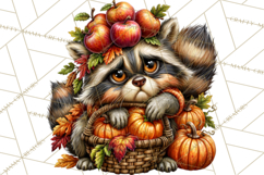 Feral Fall Friends Raccoon Opossum Squirrel Clipart Product Image 4