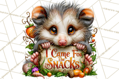 Feral Fall Friends Raccoon Opossum Squirrel Clipart Product Image 3