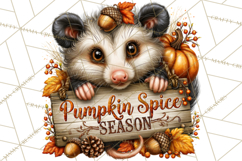 Feral Fall Friends Raccoon Opossum Squirrel Clipart Product Image 4