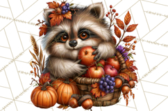 Feral Fall Friends Raccoon Opossum Squirrel Clipart Product Image 3
