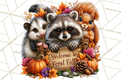 Feral Fall Friends Raccoon Opossum Squirrel Clipart Product Image 3