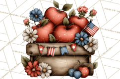 Americana Patriotic Summer Clipart Memorial Day July 4 Product Image 2