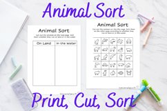 Animal Sort Product Image 1