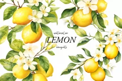 Watercolor Lemon clipart - Watercolor lemons png - Citrus Product Image 1