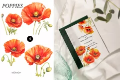 Watercolor Poppy Floral Clipart - Red poppies clipart png Product Image 2