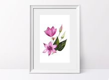 Watercolor Clematis Floral Clipart PNG Sublimation design Product Image 7