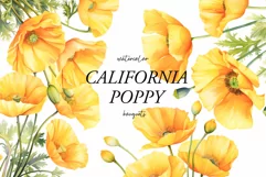 Watercolor Poppy Floral Clipart - Yellow poppies clipart png Product Image 1