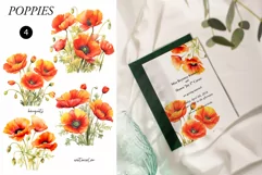 Watercolor Poppy Floral Clipart - Red poppies clipart png Product Image 2