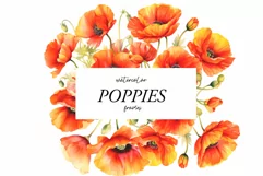 Watercolor Poppy Floral Clipart - Red poppies clipart png Product Image 1