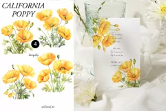 Watercolor Poppy Floral Clipart - Yellow poppies clipart png Product Image 2