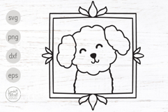 Bichon Frise Doodle SVG, Bichon Puppy PNG for Sublimation Product Image 1
