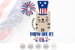 Party Like it's 1776 Cat. Kitty for America's 250th Product Image 1