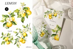 Watercolor Lemon clipart - Watercolor lemons png - Citrus Product Image 2