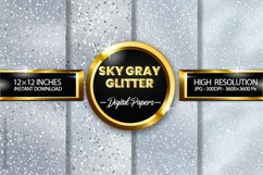 Sky Gray Glitter Digital Papers - 04 Variations Product Image 1