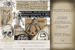 Vintage Halloween Junk Journal Ephemera Product Image 1