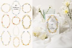 Watercolor wildflower floral clipart- Watercolor garden Product Image 3