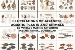 Japanese Aquatic Plants and Animals - Old Marine Life Prints Product Image 1