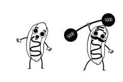 Frankly the Best Dingbats Product Image 6