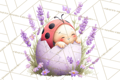 Baby Insects in Easter Eggs, Cute Spring Bug Clipart Png Product Image 4