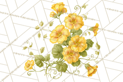 Victorian Floral PNG, Painted Roses, Peonies, Botanical Png Product Image 3