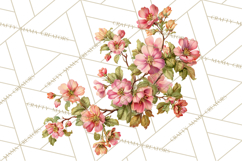 Victorian Floral PNG, Painted Roses, Peonies, Botanical Png Product Image 4