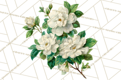 Victorian Floral PNG, Painted Roses, Peonies, Botanical Png Product Image 4