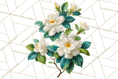 Victorian Floral PNG, Painted Roses, Peonies, Botanical Png Product Image 2