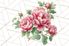 Victorian Floral PNG, Painted Roses, Peonies, Botanical Png Product Image 5