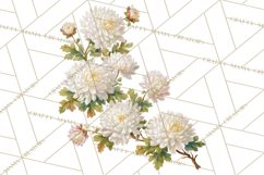 Victorian Floral PNG, Painted Roses, Peonies, Botanical Png Product Image 3