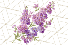 Victorian Floral PNG, Painted Roses, Peonies, Botanical Png Product Image 2