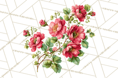Victorian Floral PNG, Painted Roses, Peonies, Botanical Png Product Image 4