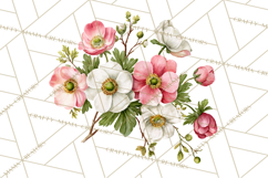 Victorian Floral PNG, Painted Roses, Peonies, Botanical Png Product Image 4