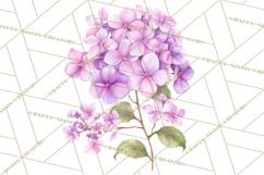 Victorian Floral PNG, Painted Roses, Peonies, Botanical Png Product Image 3