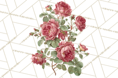 Victorian Floral PNG, Painted Roses, Peonies, Botanical Png Product Image 5