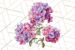 Victorian Floral PNG, Painted Roses, Peonies, Botanical Png Product Image 2