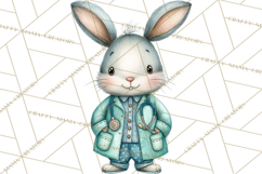 Woodland Animal Doctor Clipart Cute Pediatric Vet PNG Product Image 5