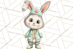Woodland Animal Doctor Clipart Cute Pediatric Vet PNG Product Image 5