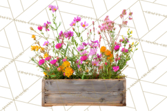 Charming Wildflower Market Floral Clipart PNG Product Image 5